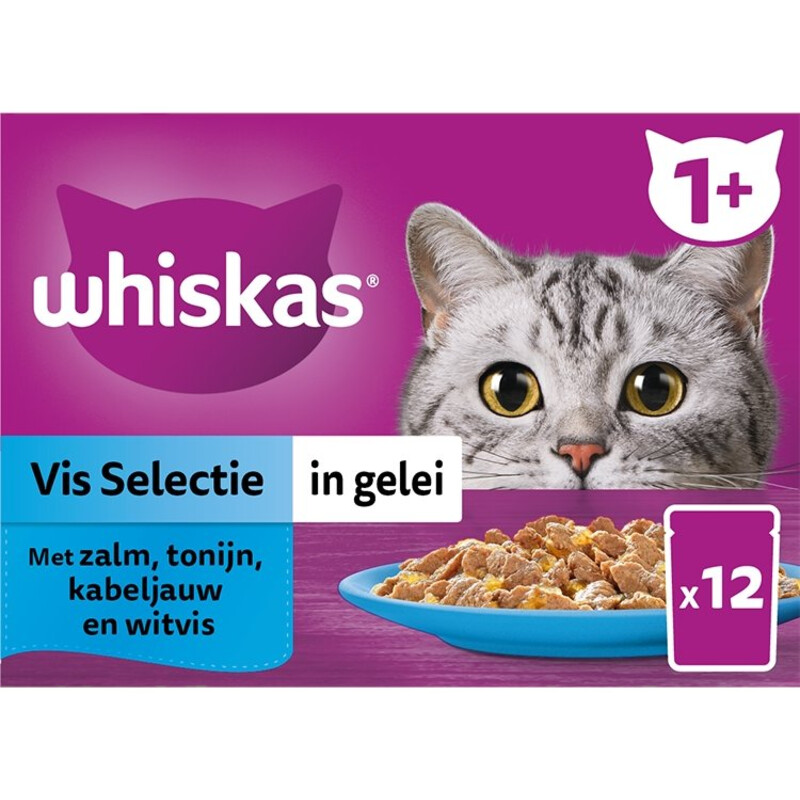 Whiskas 1+ Vis selectie in gelei