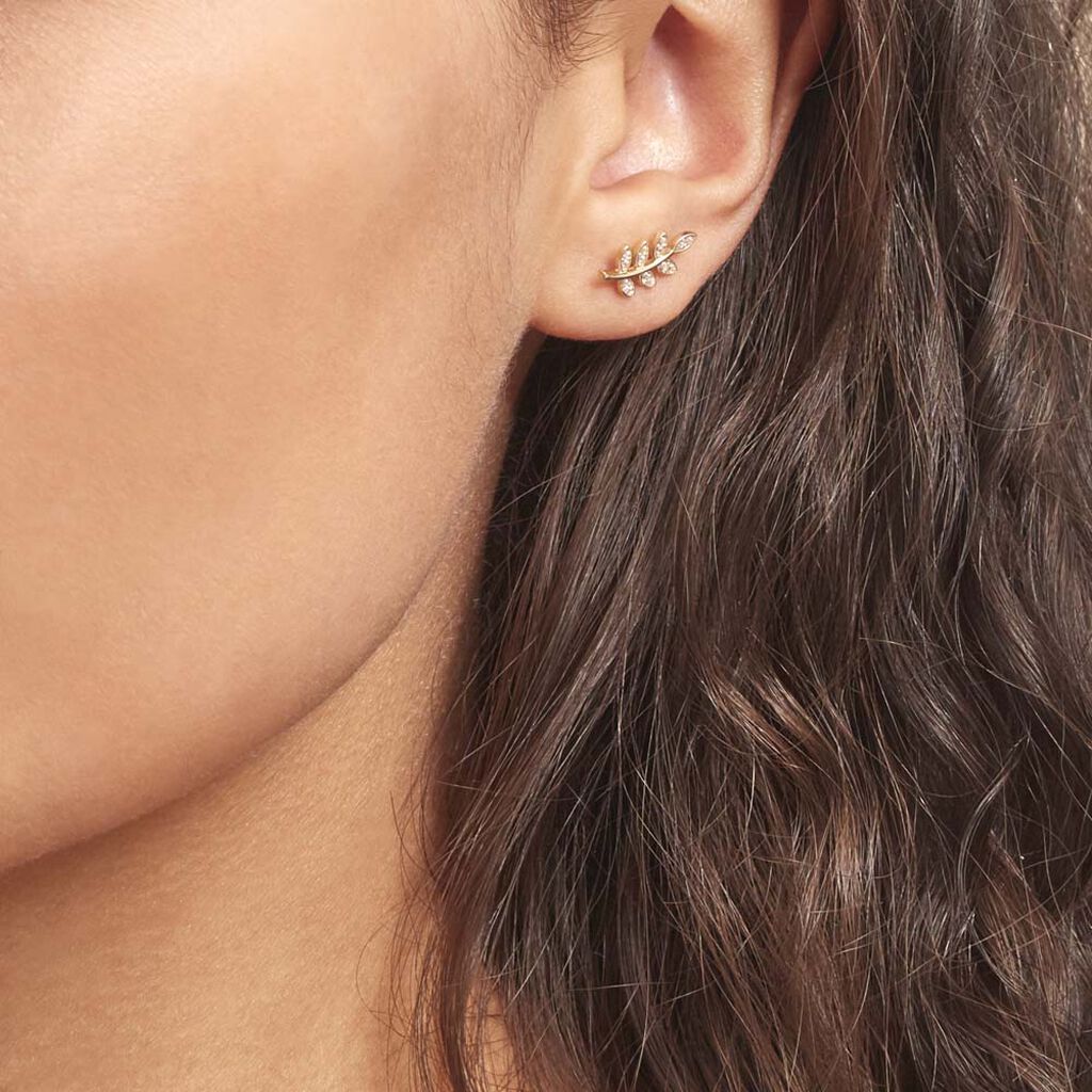 Boucles D'oreilles Puces Ael Or Jaune Oxyde De Zirconium