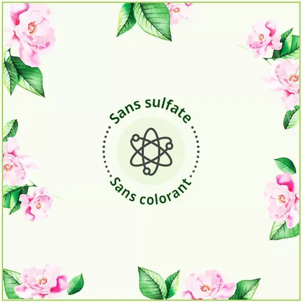 Le Petit Marseillais Gel de banho hidratante orgânico Wild Rose Eco-Refil 250ml