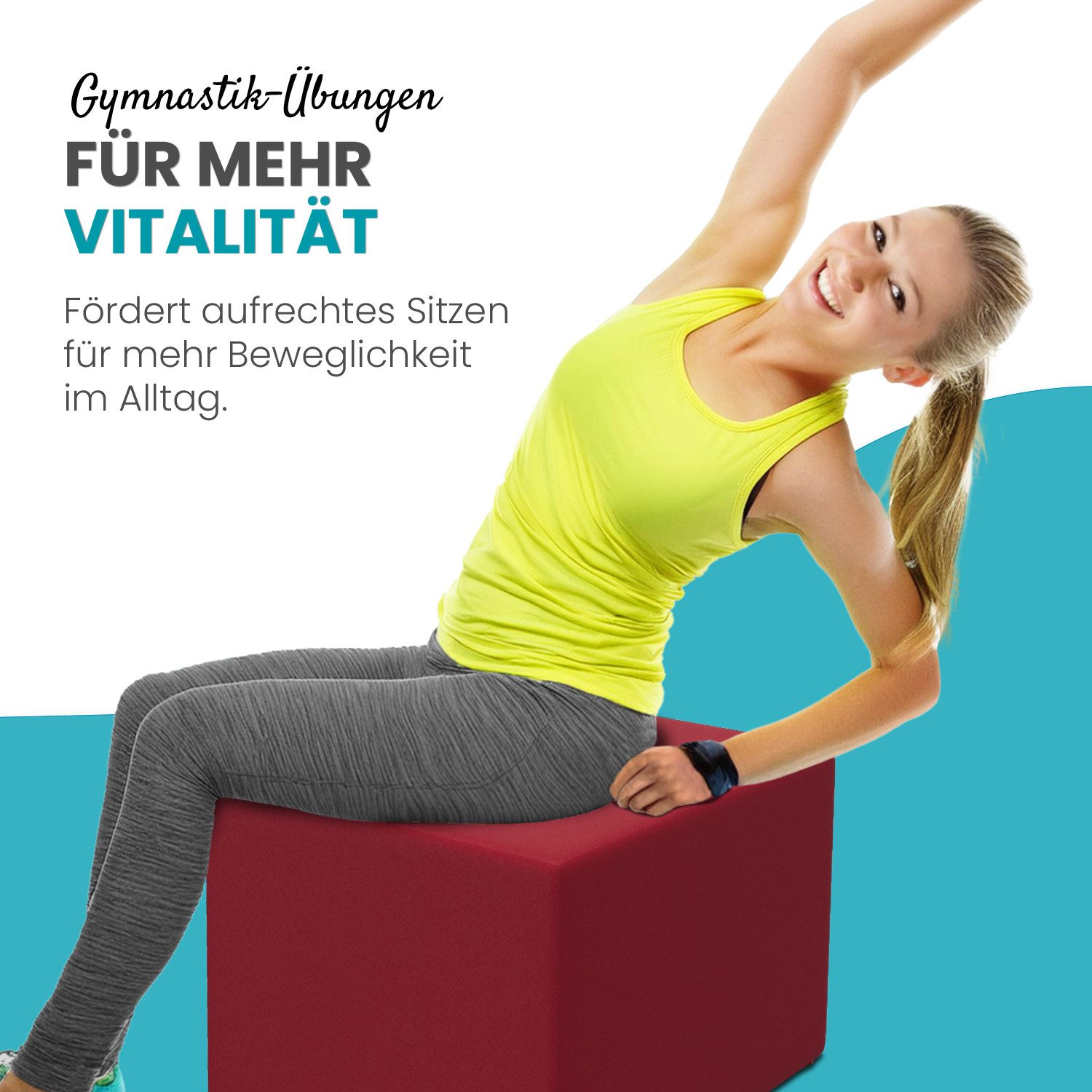 aktivshop Bandscheibenwürfel