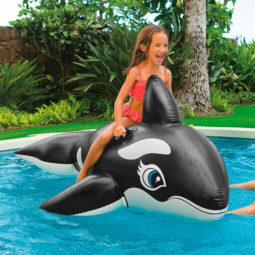 Baleia Orca Inflável Intex 193x119 cm