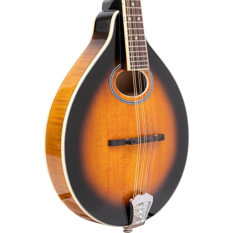 Gold Tone GM-50+ A-stijl mandoline met contactelement