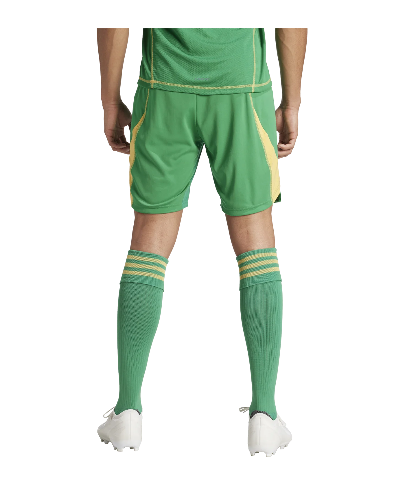 adidas Tiro 24 Pro Torwartshort Grün