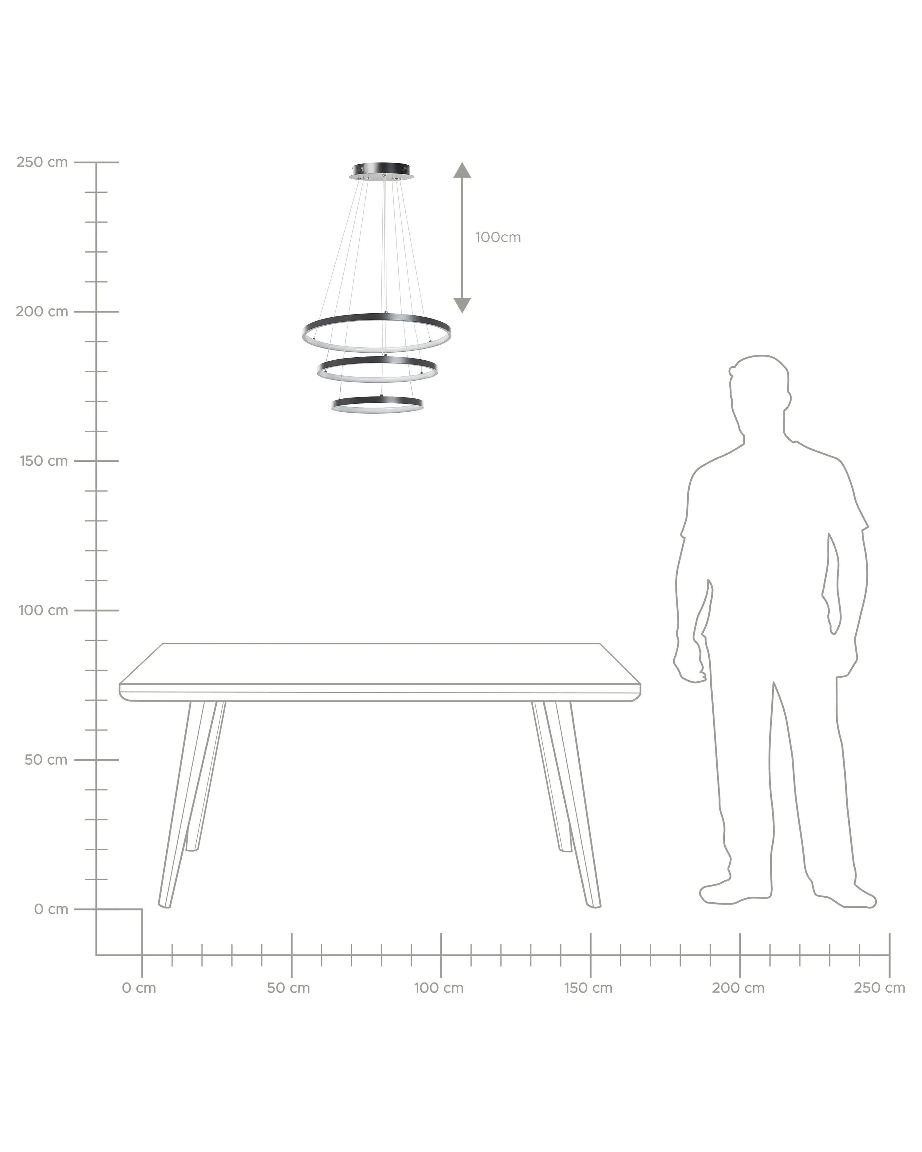 LED hanglamp ATREK Metaal Zwart