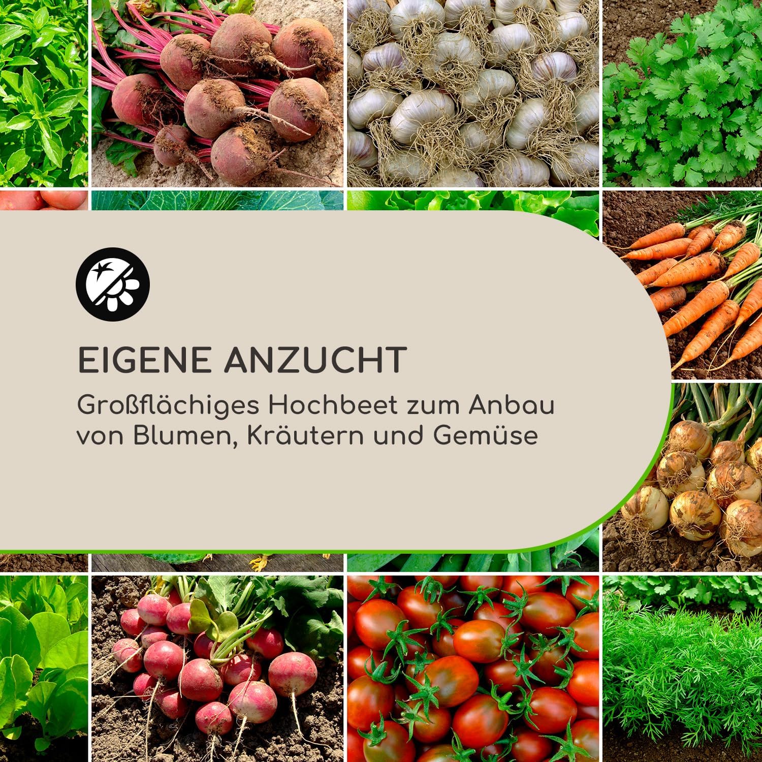 blumfeldt Rust Grow Hochbeet Gartenbeet, verzinktes Stahlblech, Materialstärke: 0,6 mm, einfache Montage, Rost-Finish, 120 x 60 x 60 cm (BxHxT), Rost
