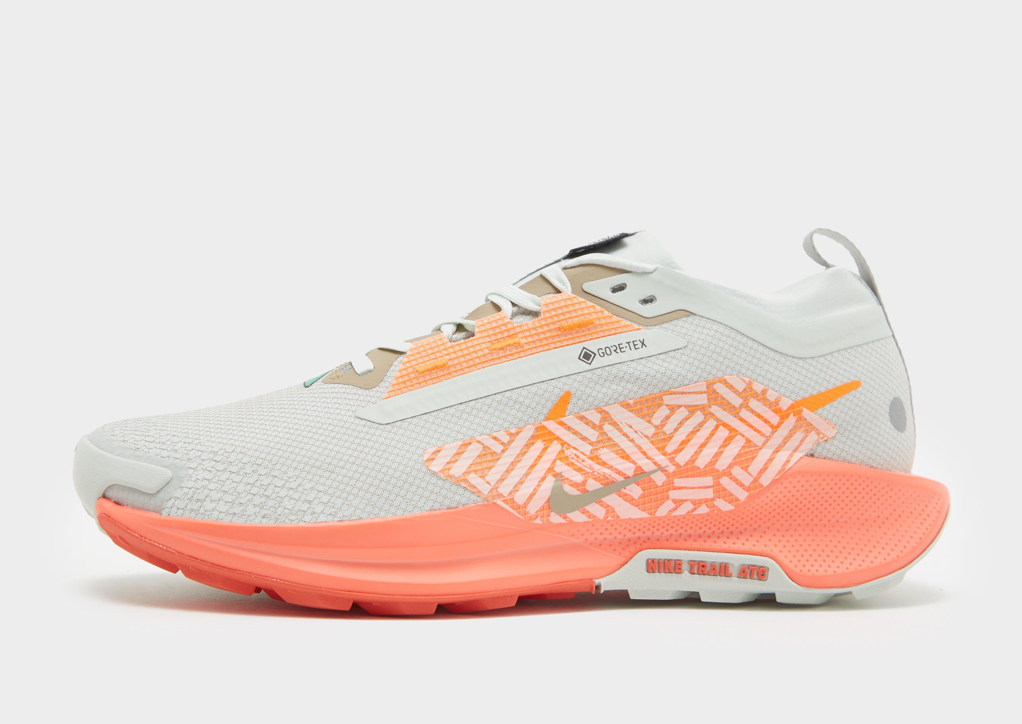 Nike Pegasus Trail 5 GORE-TEX Homme