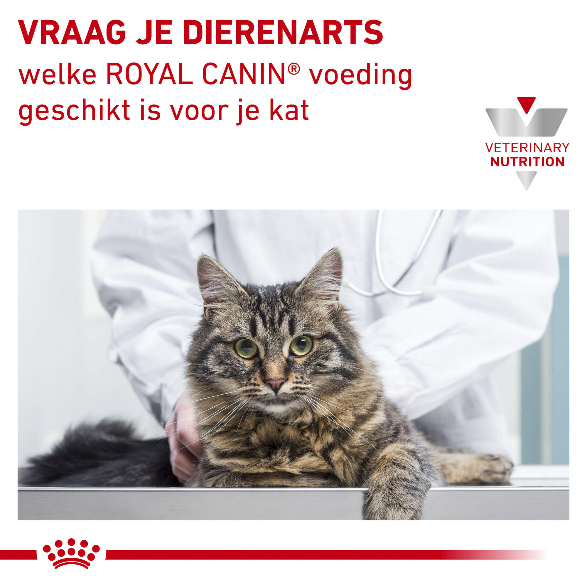 Royal Canin Diabetic Kat - Maaltijdzakje