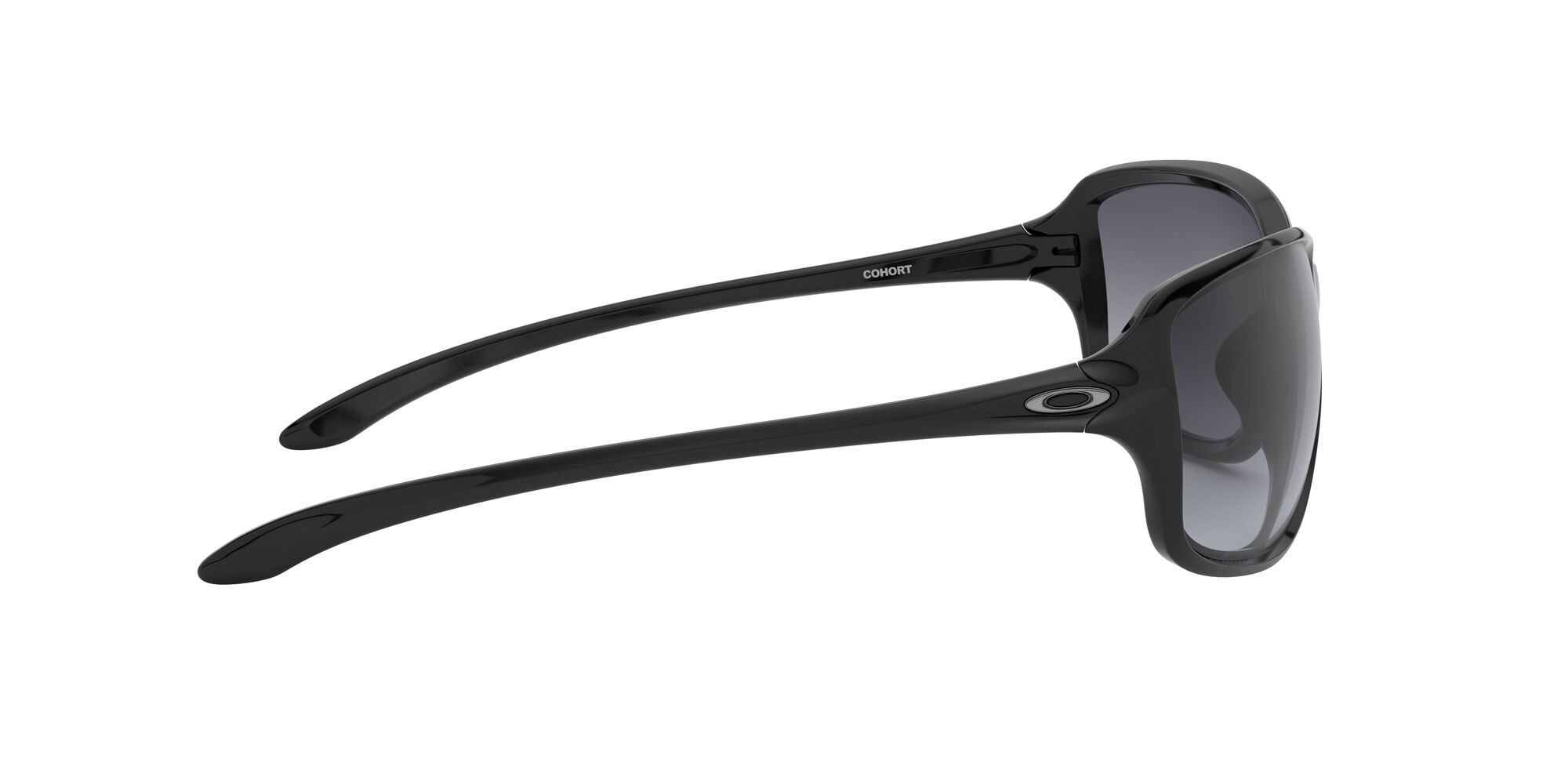Cohort, Grey Gradient Polarized