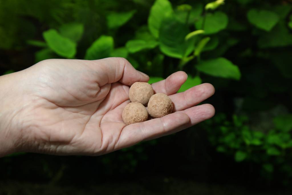 Kleibollen 13   7 mestkogels