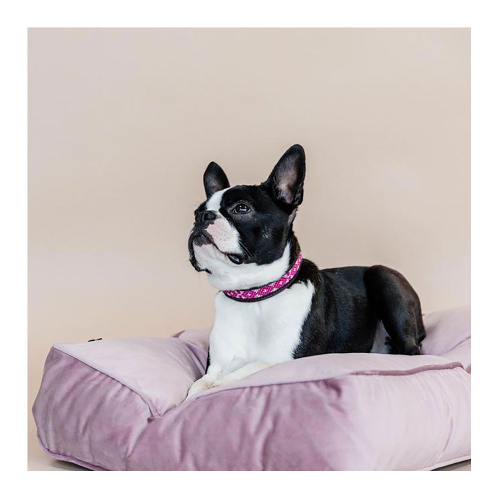 Kentucky PEARLS -  Collier pour chien pink