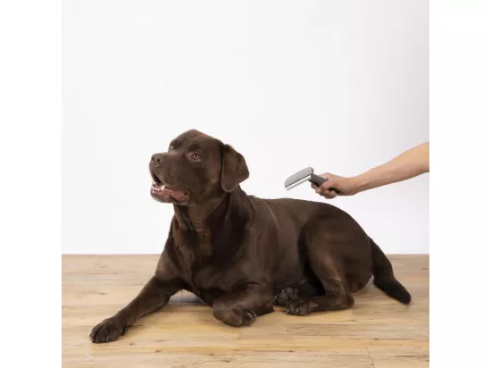 Brosse de toilettage spéciale sous poils pour animaux 