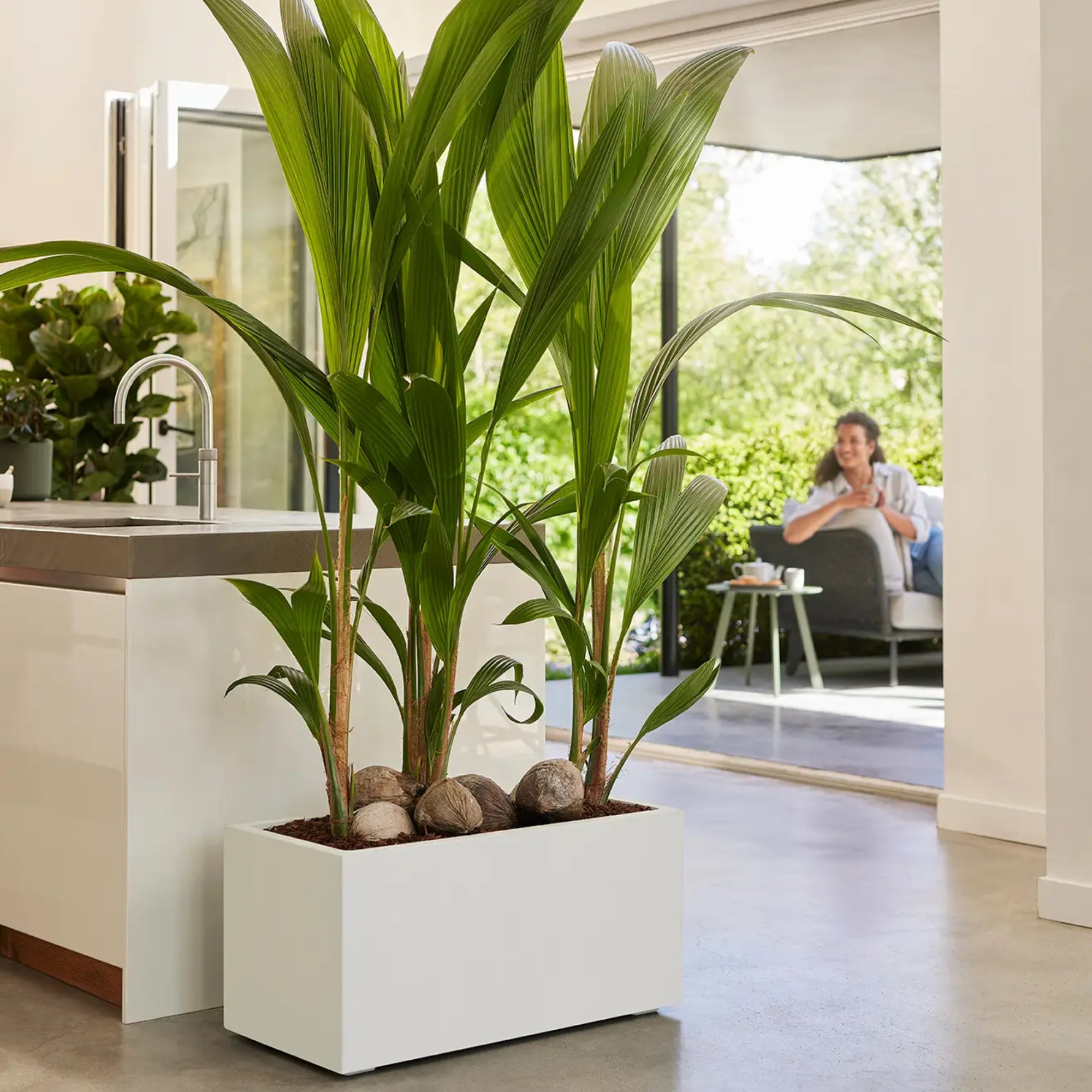 elho Vivo Next Plantenbak B 80 cm - Wit