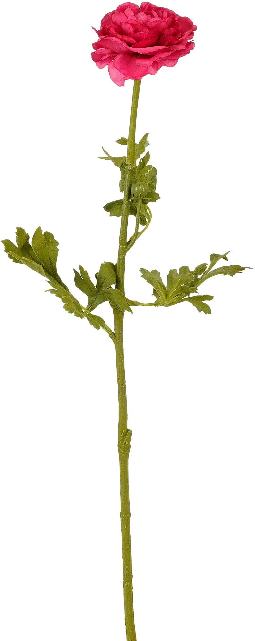 Mica Decorations kunstbloem Ranonkel paars L 56 cm