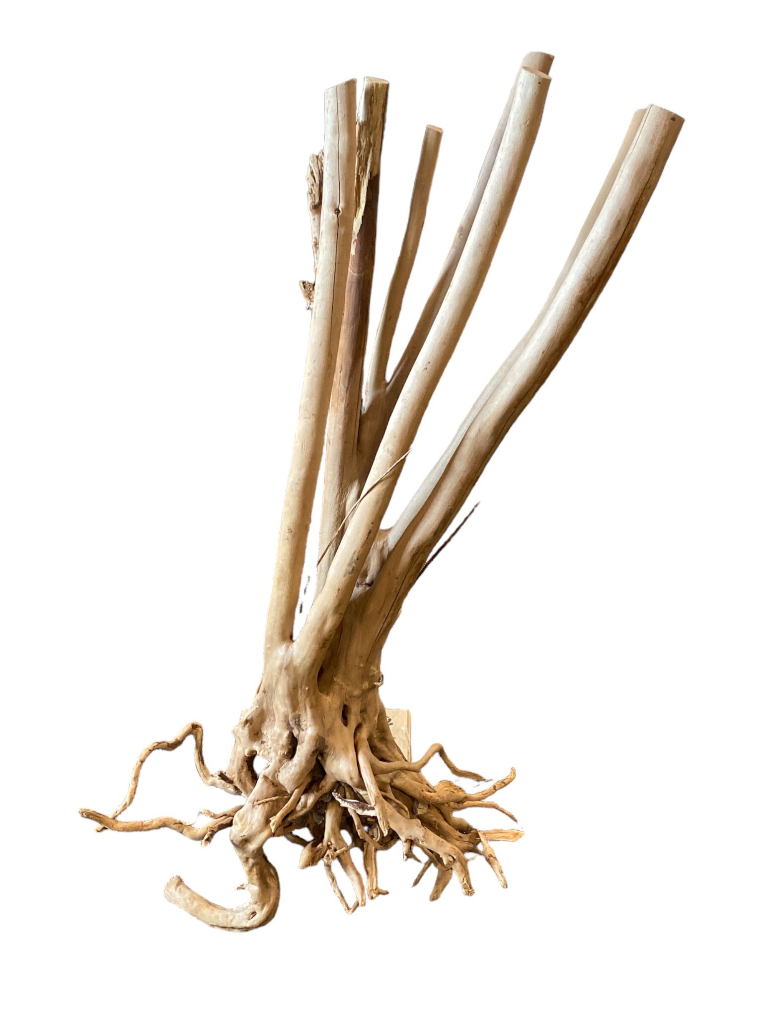 AquastoreXL Boomstronk XXL 60 - 90cm 6,4kg - NR5 | natuurlijk hout