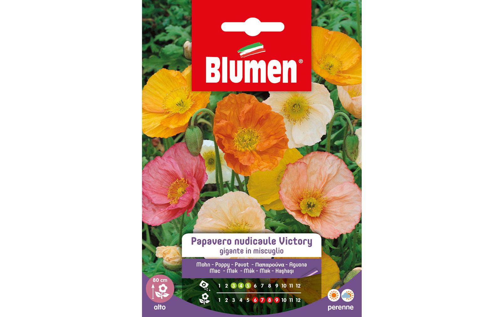 Saatgut Mohn Victory MixBlumensamen