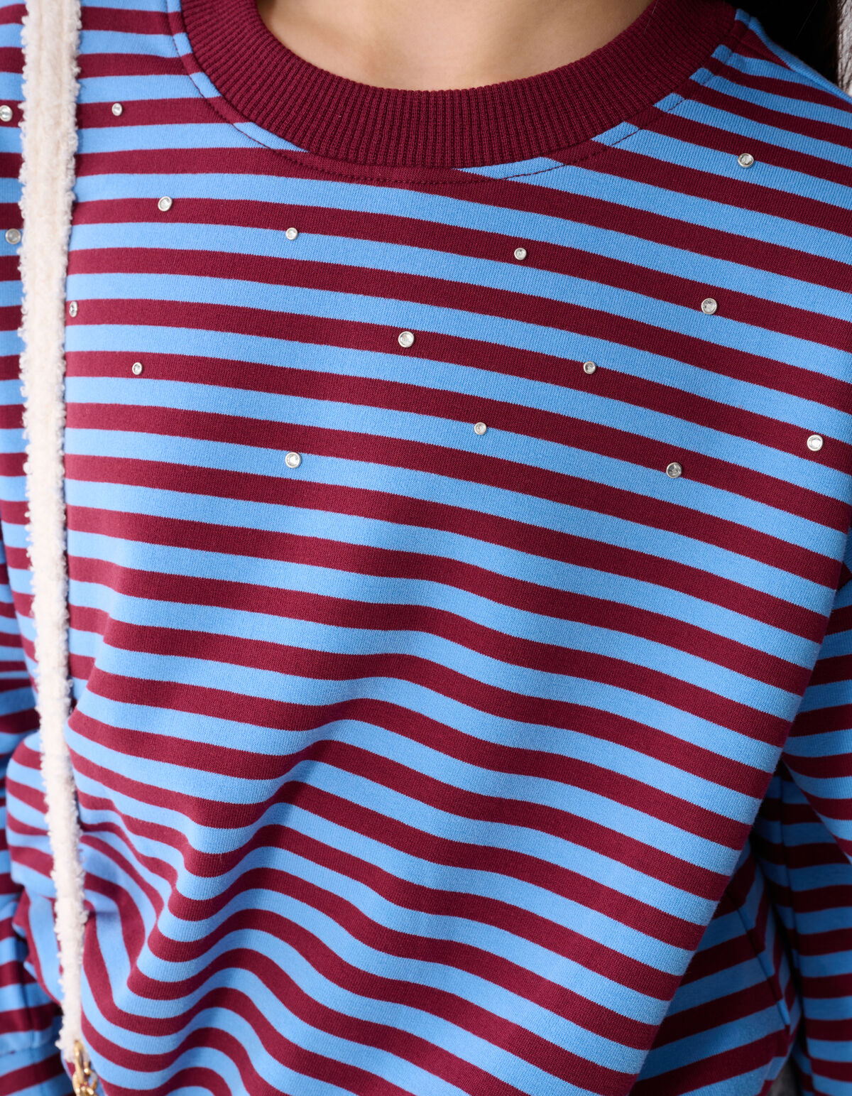 Stiped Balloon Fit Sweater Donkerrood/Blauw