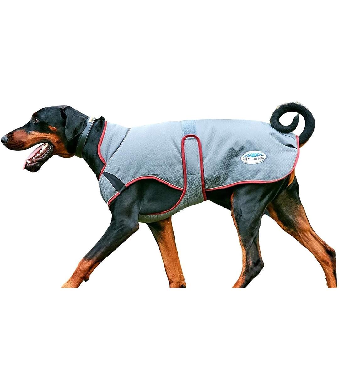 Weatherbeeta - Veste pour chiens COMFITEC PREMIER FREE (Gris / Bordeaux) (25 cm) - UTWB1581