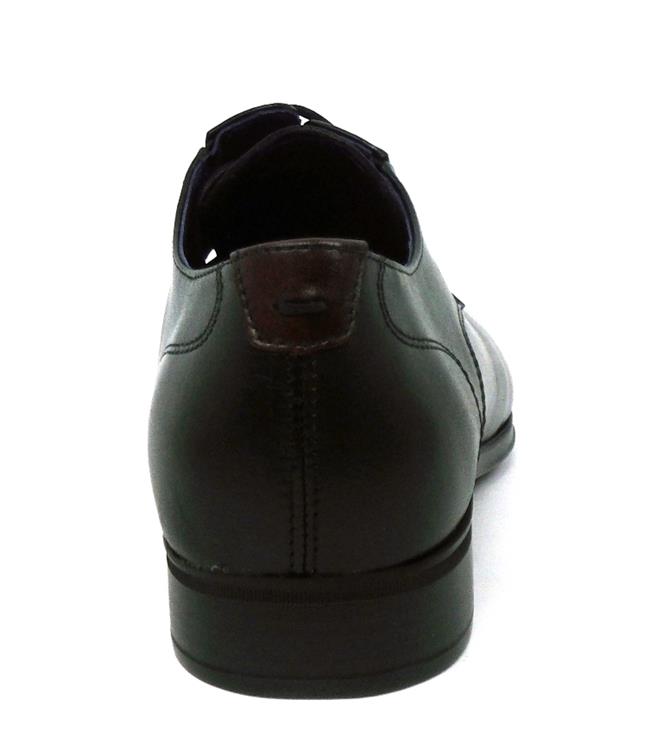 Fluchos F1887 habana negro com4