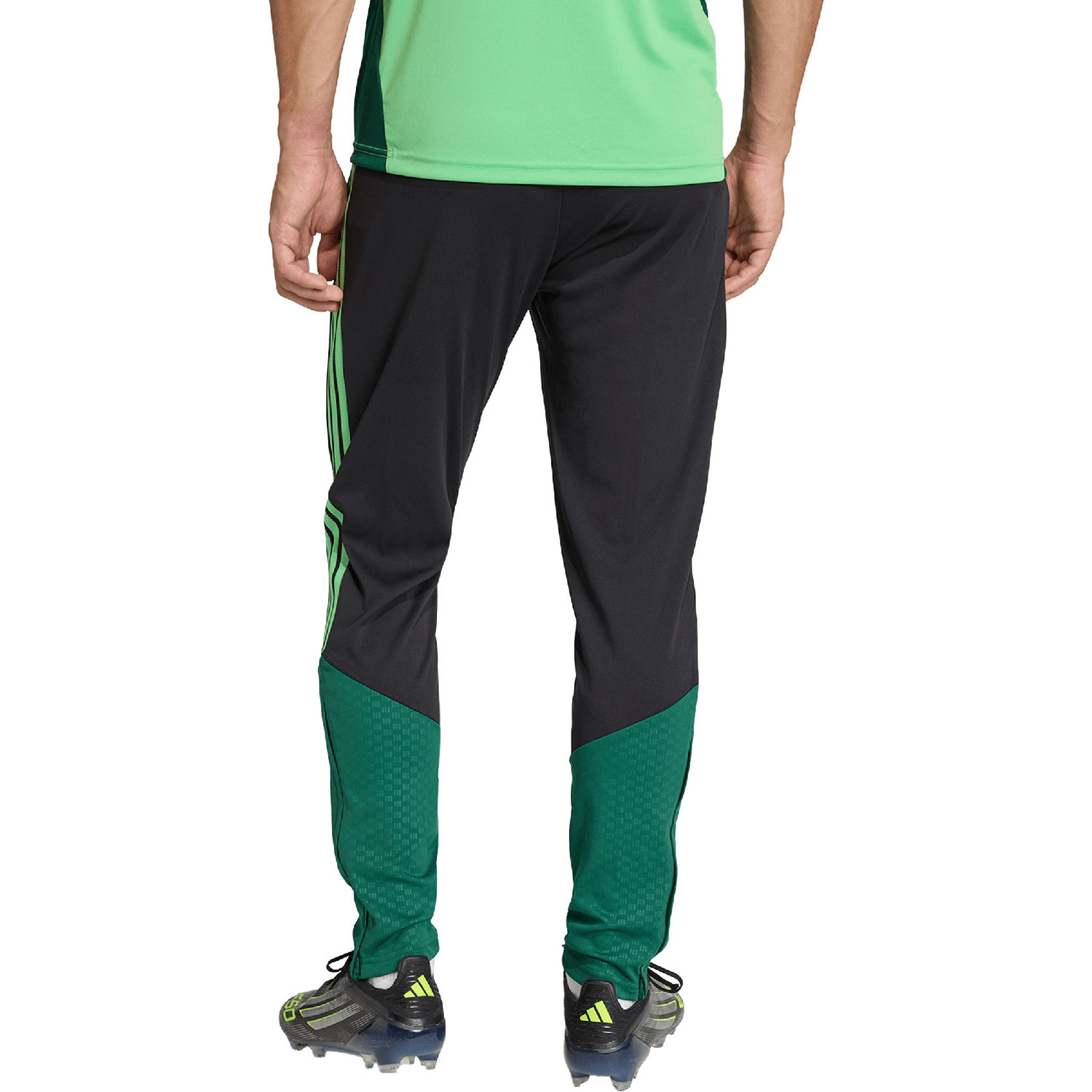 adidas Mexico Trainingspak WK 2026