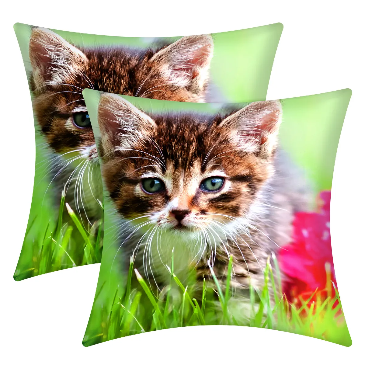 AVIZAR Lot 2 Housses Coussin Chaton Jardin