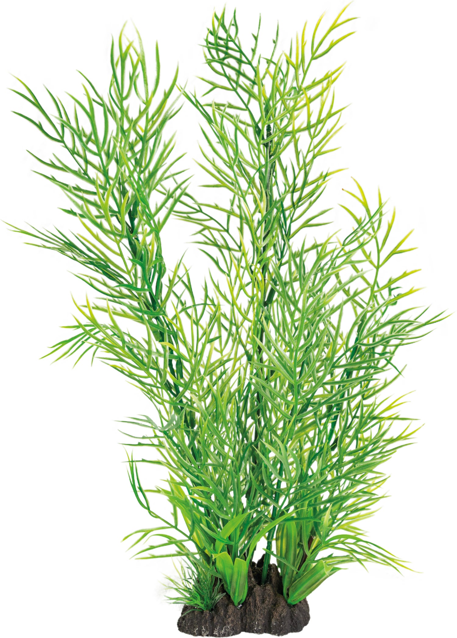 SuperFish aquarium decoratie kunstplant Ceratopteris groen 8 x 12 x 40 cm