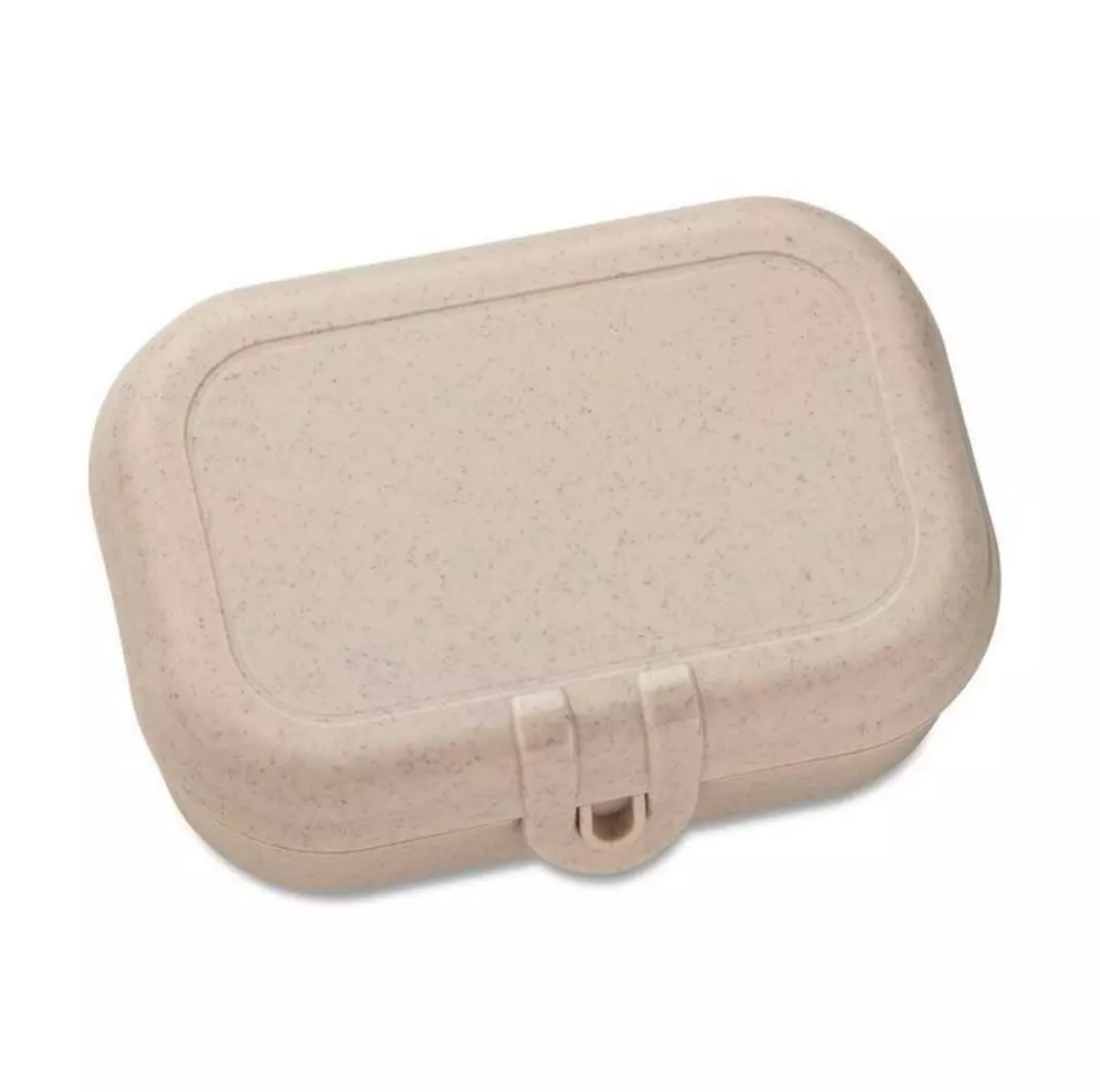 Lunchbox Pascal S