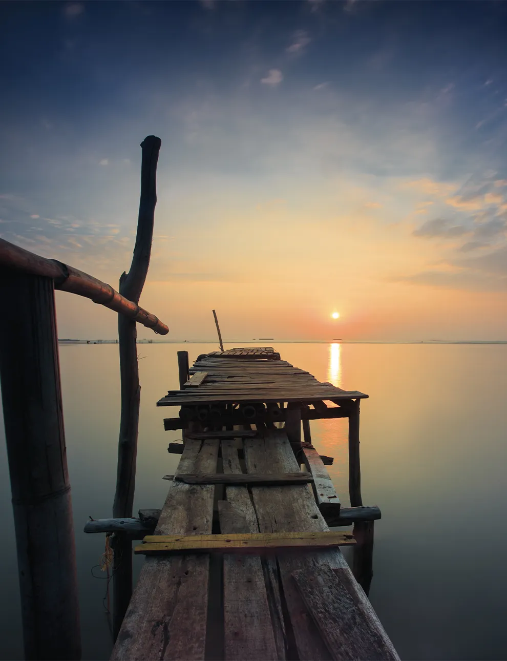 Art Print Sun Shy Cirebon