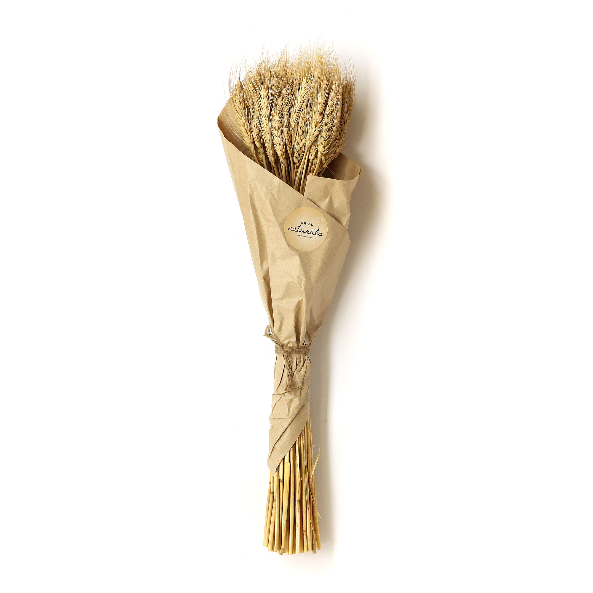 Bouquet aus Weizengräsern, 60 cm von fischer's lagerhaus