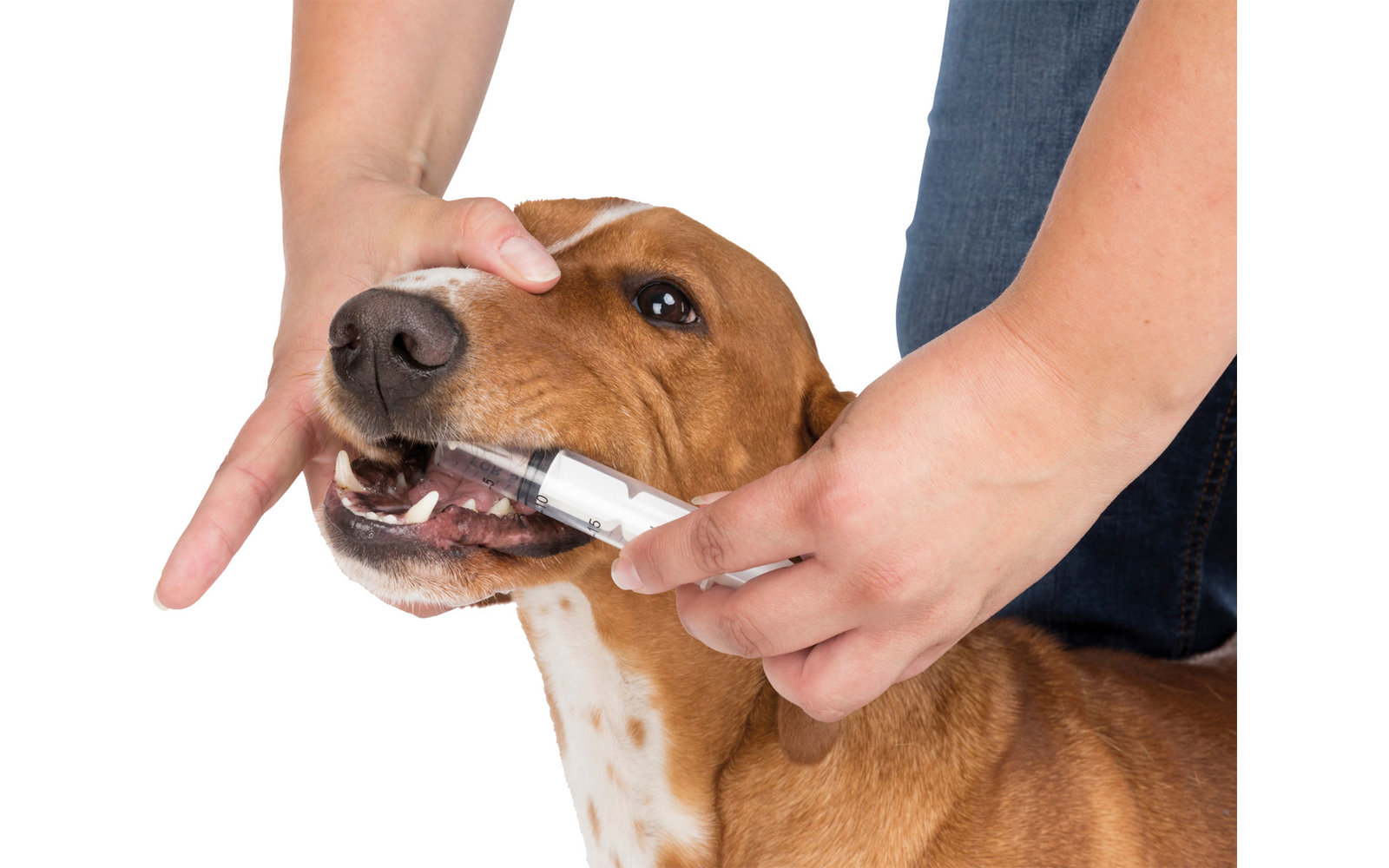 Jollypaw Erste Hilfe Set für Hunde und Katzen