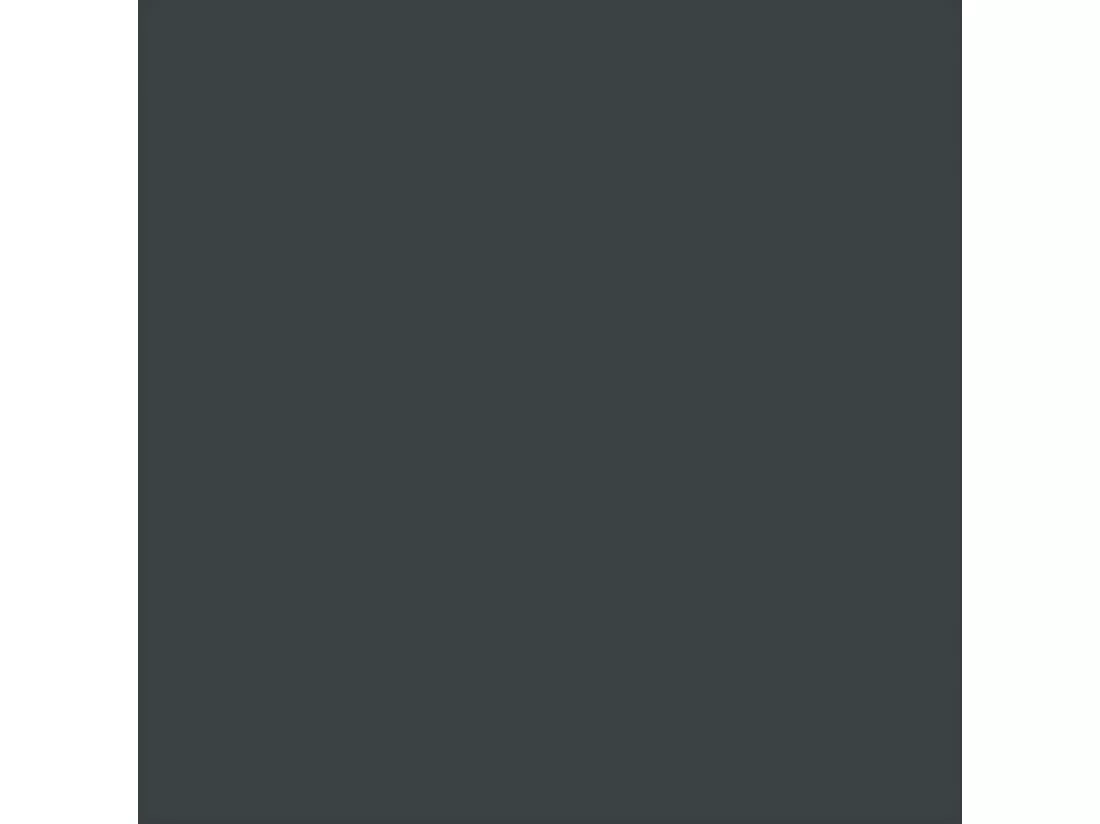 Abri de jardin avec toit prolongé anthracite 277x110,5x181