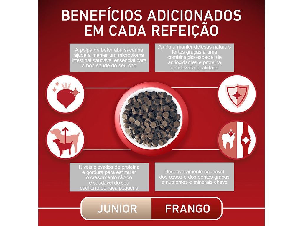 RAÇÃO PARA CÃO PURINA ONE MINI JÚNIOR COM FRANGO 800G