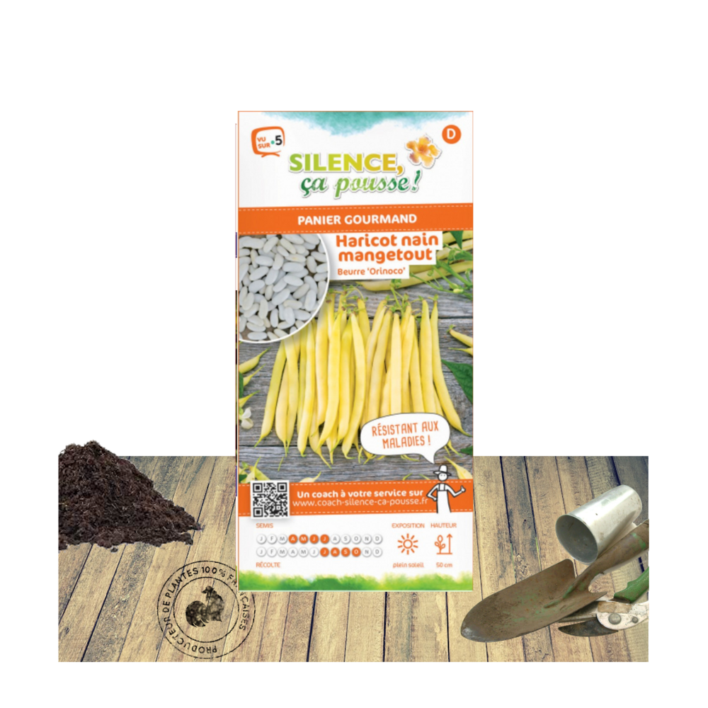 Graines de haricot nain mangetout beurre orinoco/phaseolus vulgaris nain mangetout beurre orinoco[-]sachet de 80 gr.