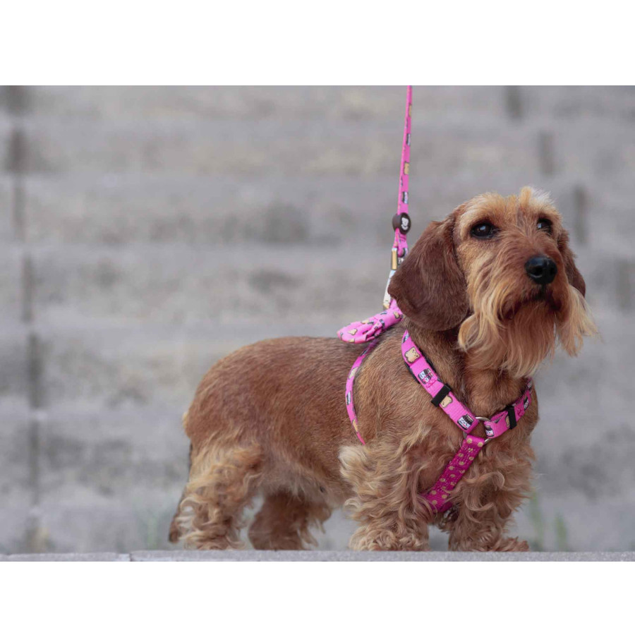Coleira Dukier Dogtella Classic com estampa de Nutella para cães