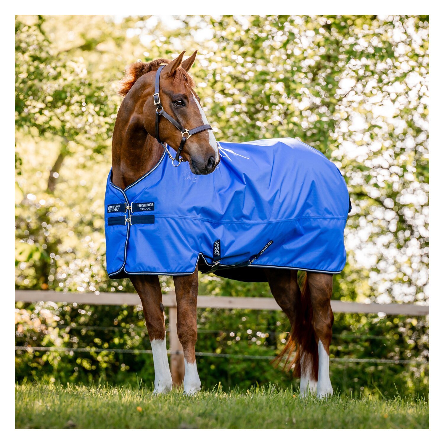Horseware Outdoordecke AMIGO Hero Ripstop Lite - blue/navy