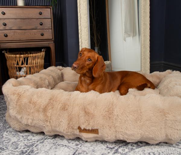 Scruffs Hundebett Alpine Box Bed