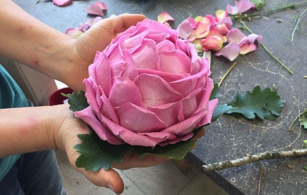 Floristikkurs in Leonberg als blumiges Geschenk