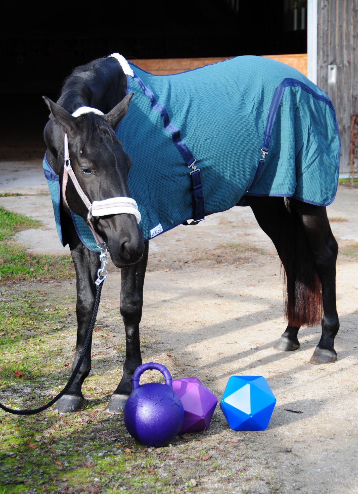 AMKA Futterball
