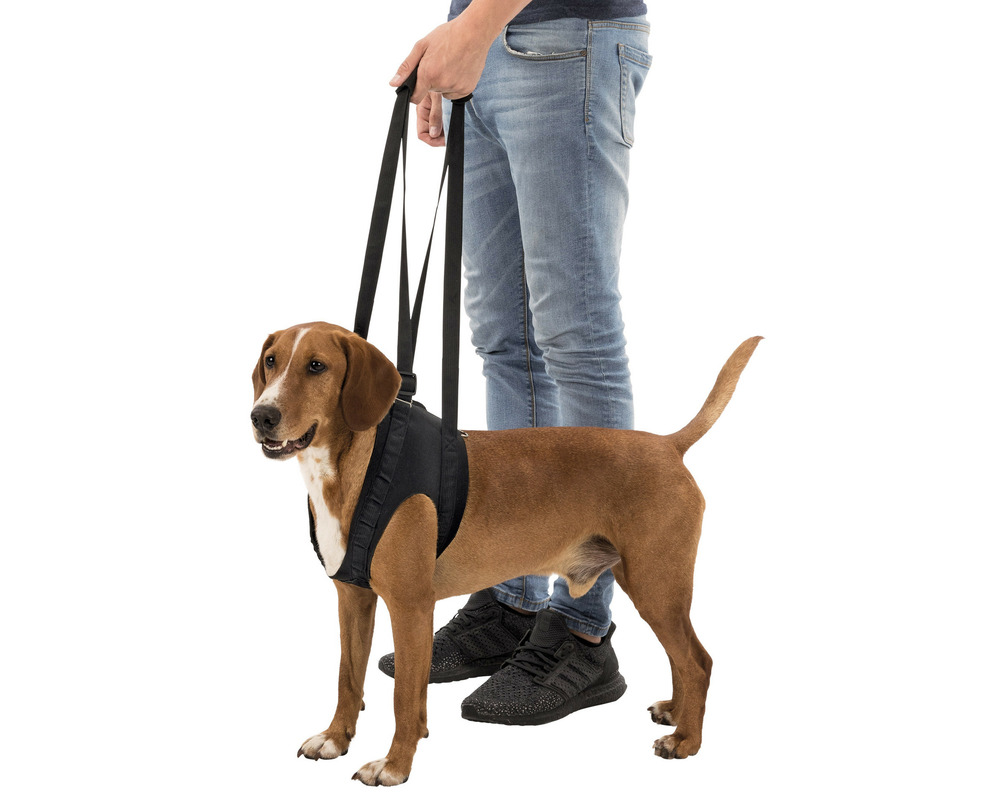 Aide à la marche pour chien • taille l / xl : 75-85 cm
