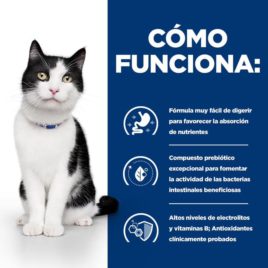 Hill's Prescription Diet Digestive Care i/d Frango ao Molho Sachê para Gatos - Pacote com Vários