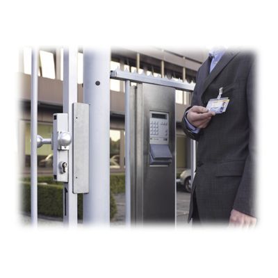 Durable - 25 Portes badges de sécurité fermé - 54 x 85 mm - 2 cartes