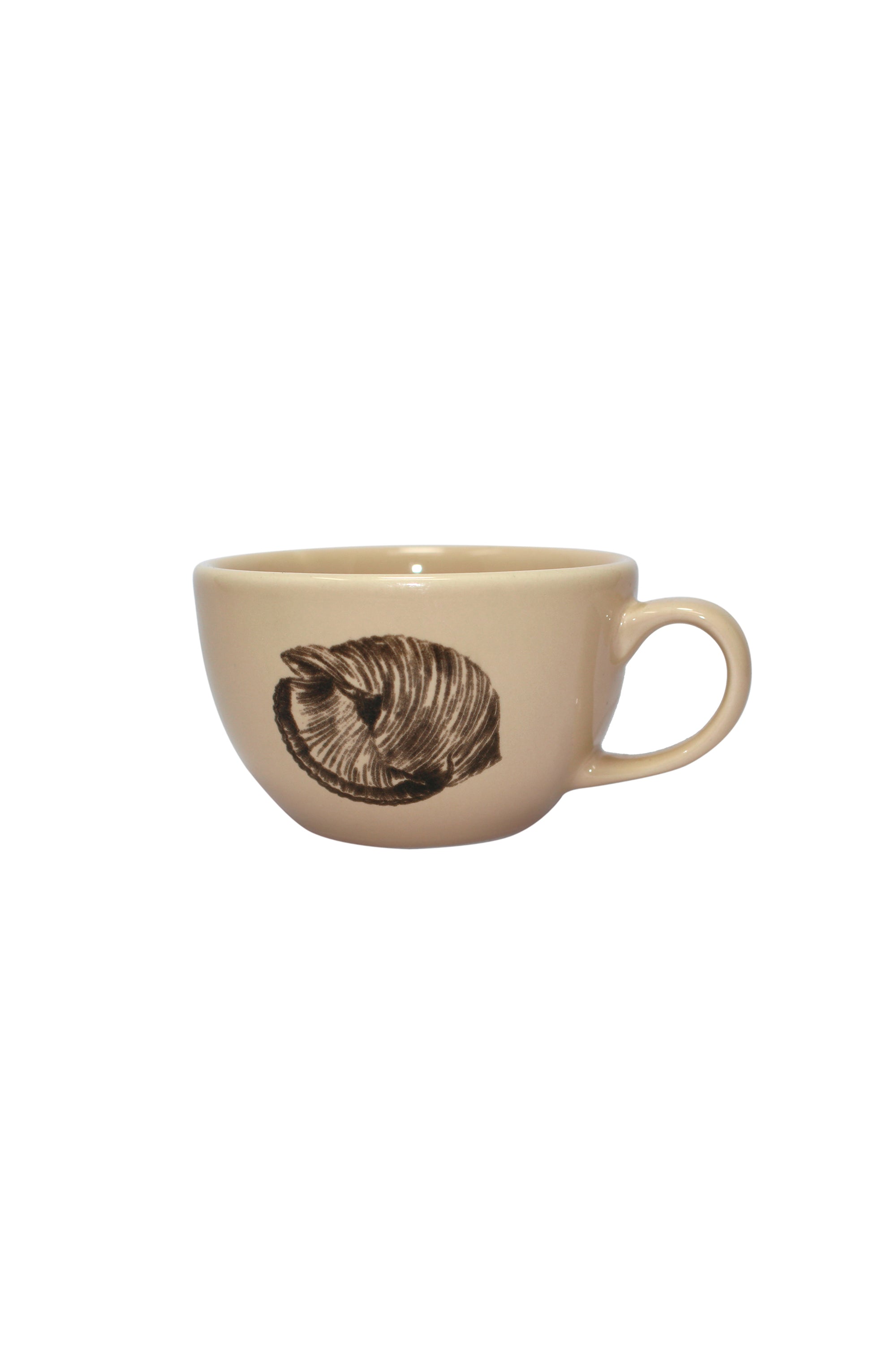 Tasse et assiette à thé en céramique « Conchas de la Isla Cream » (lot de 4)
