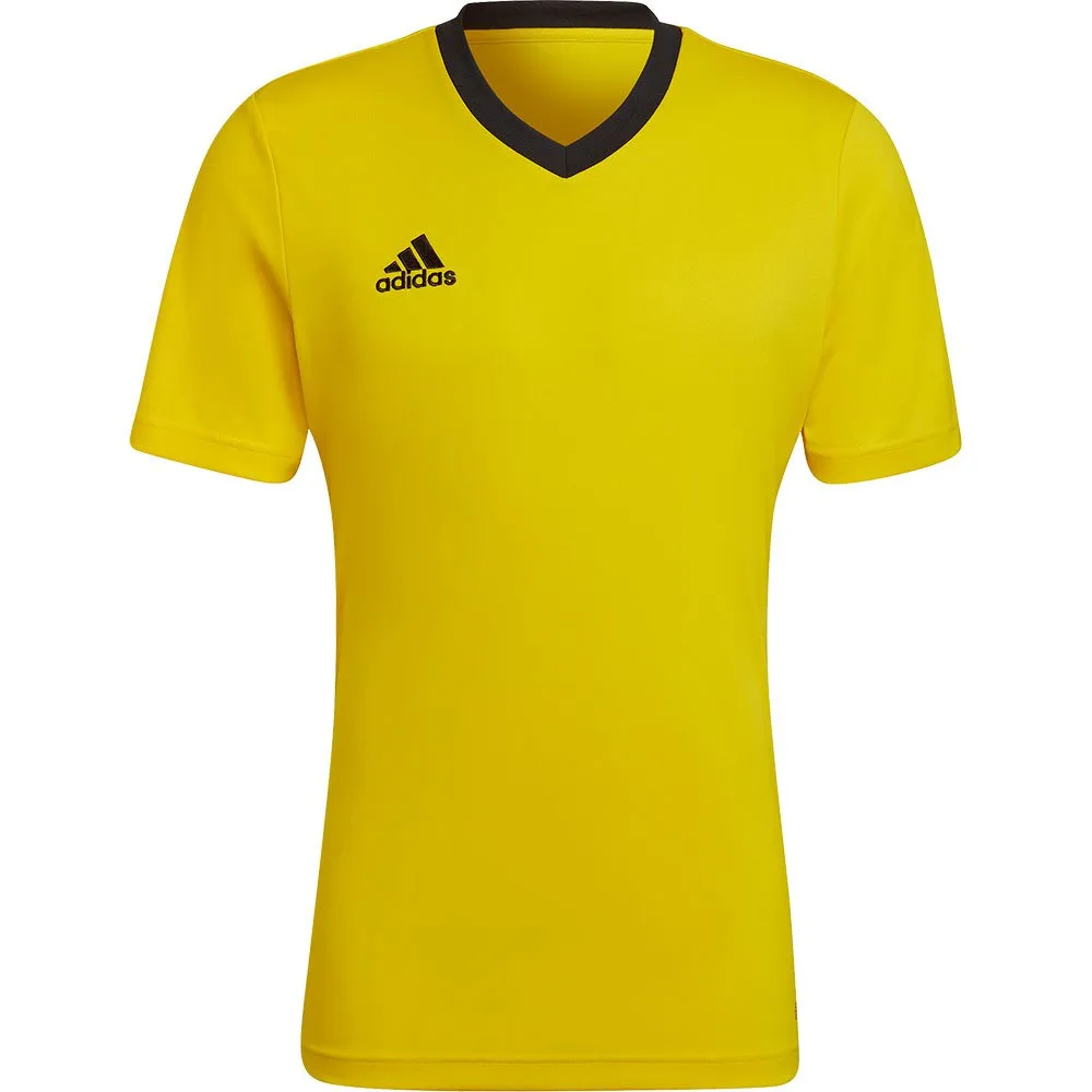 Camiseta de manga curta adidas Entrada 22