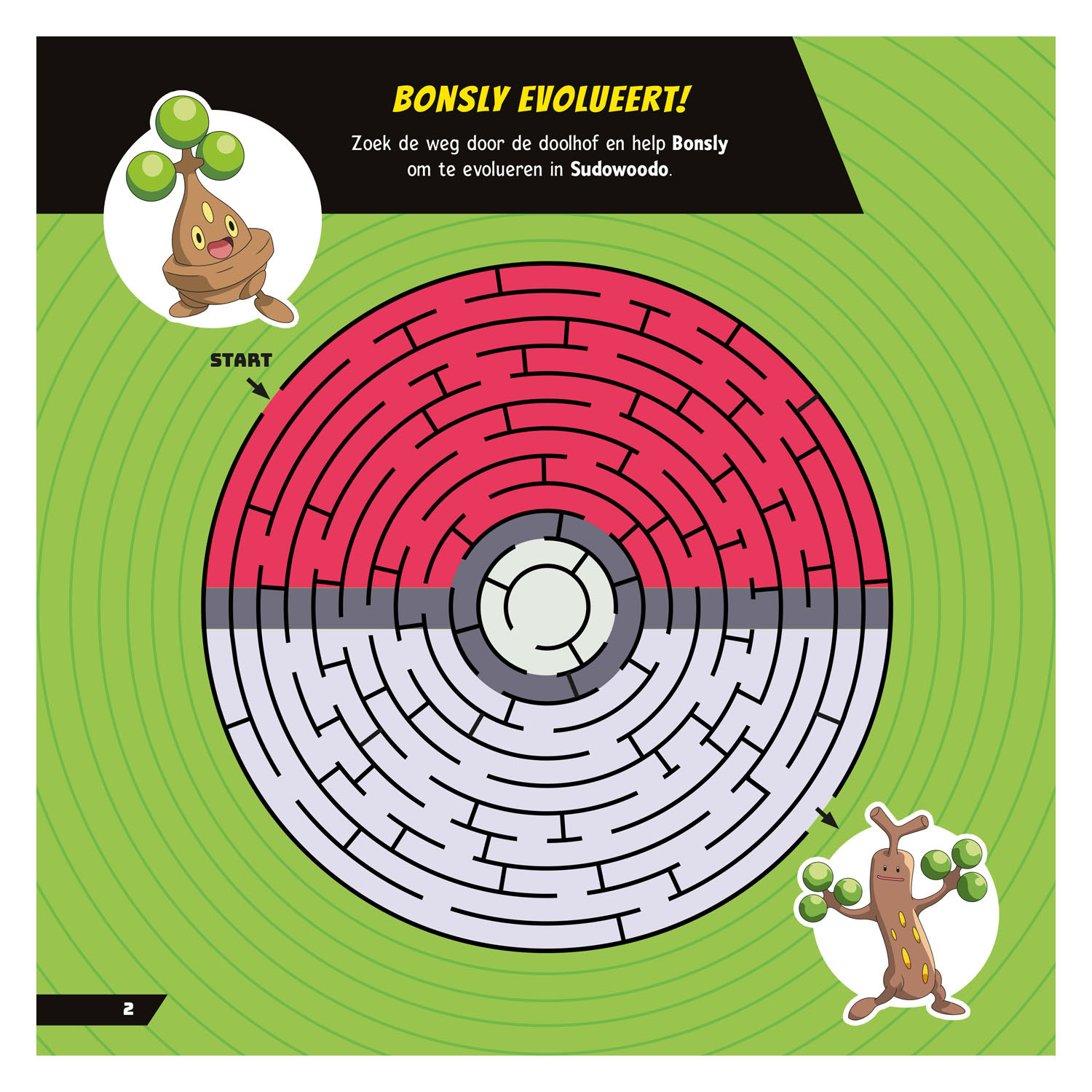 Pokémon Spelletjesboek