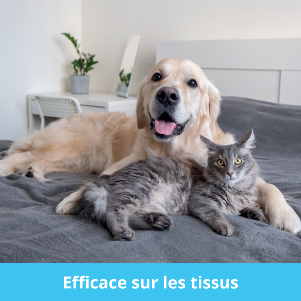 Recharges 50 feuilles stickyroller