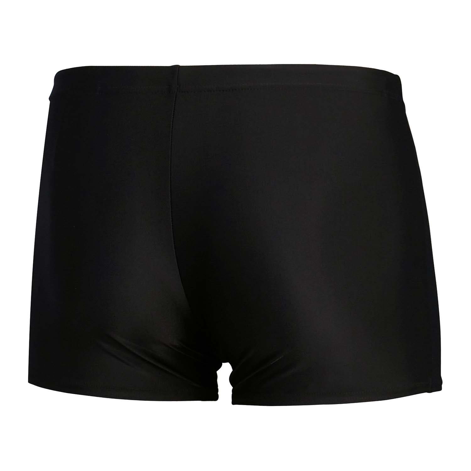 Speedo  Eco Mens Medly Logo Aquashort