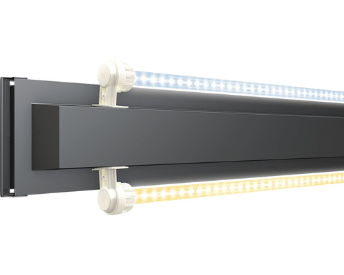 Juwel Rio 240 aquarium met LED-verlichting, pomp, filter, verwarming (zonder kast), grijs
