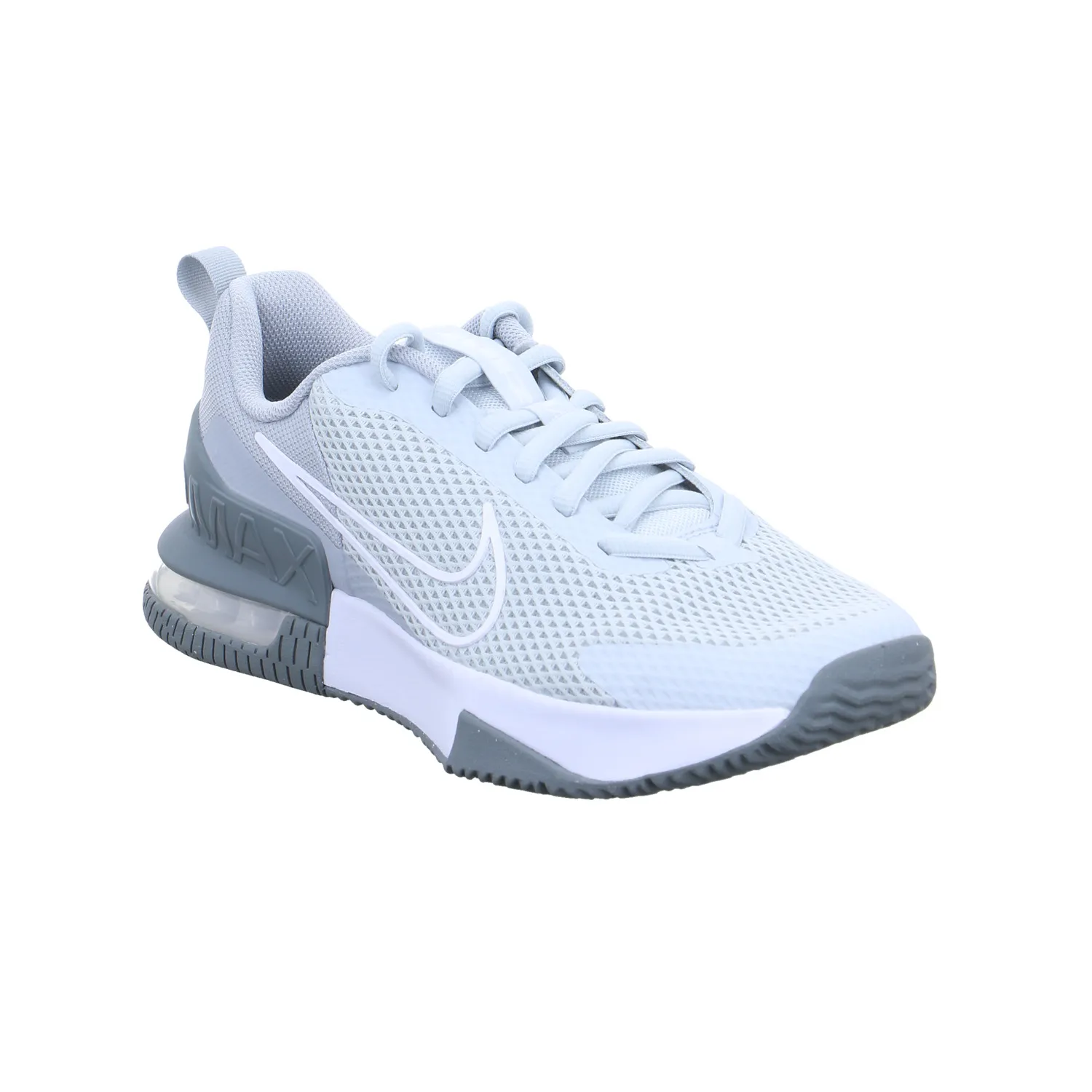 NIKE Sneaker- Skaterschuh Herren Grau Synthetik