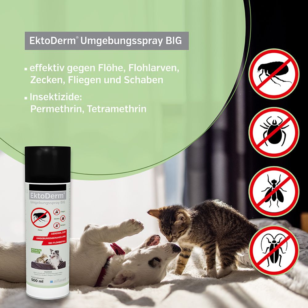 EktoDerm® Umgebungsspray