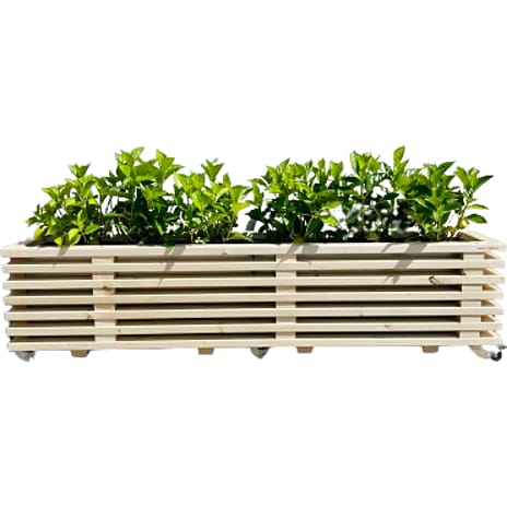 Luksus plantekasse af nye traller 177 cm