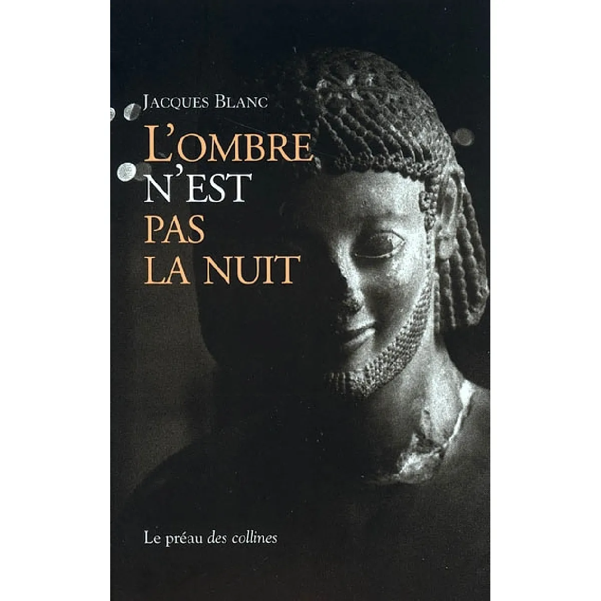 L'ombre n'est pas la nuit · Occasion